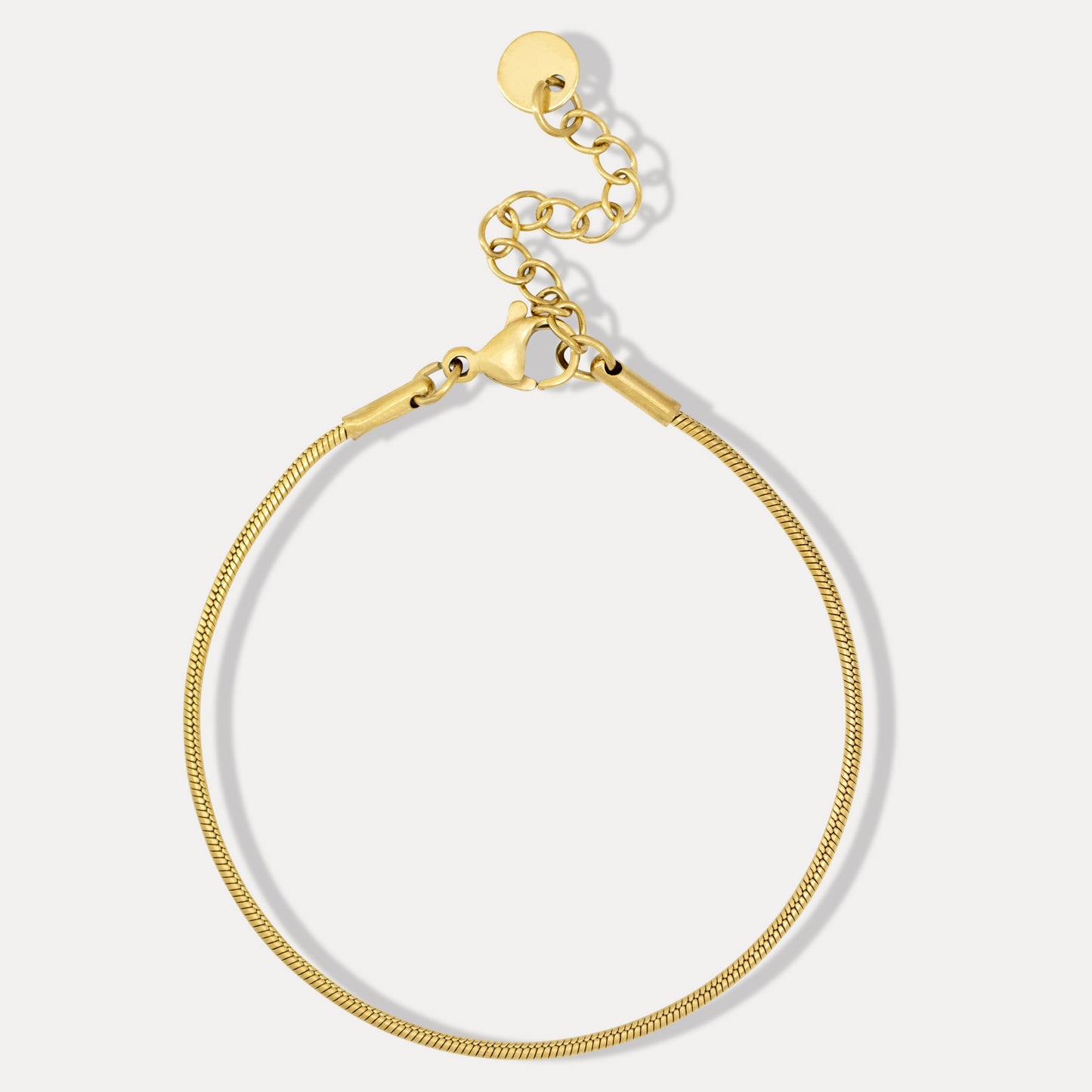 Snake Chain Bracelet